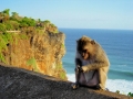 uluwatu-6