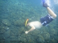 snorkling-2